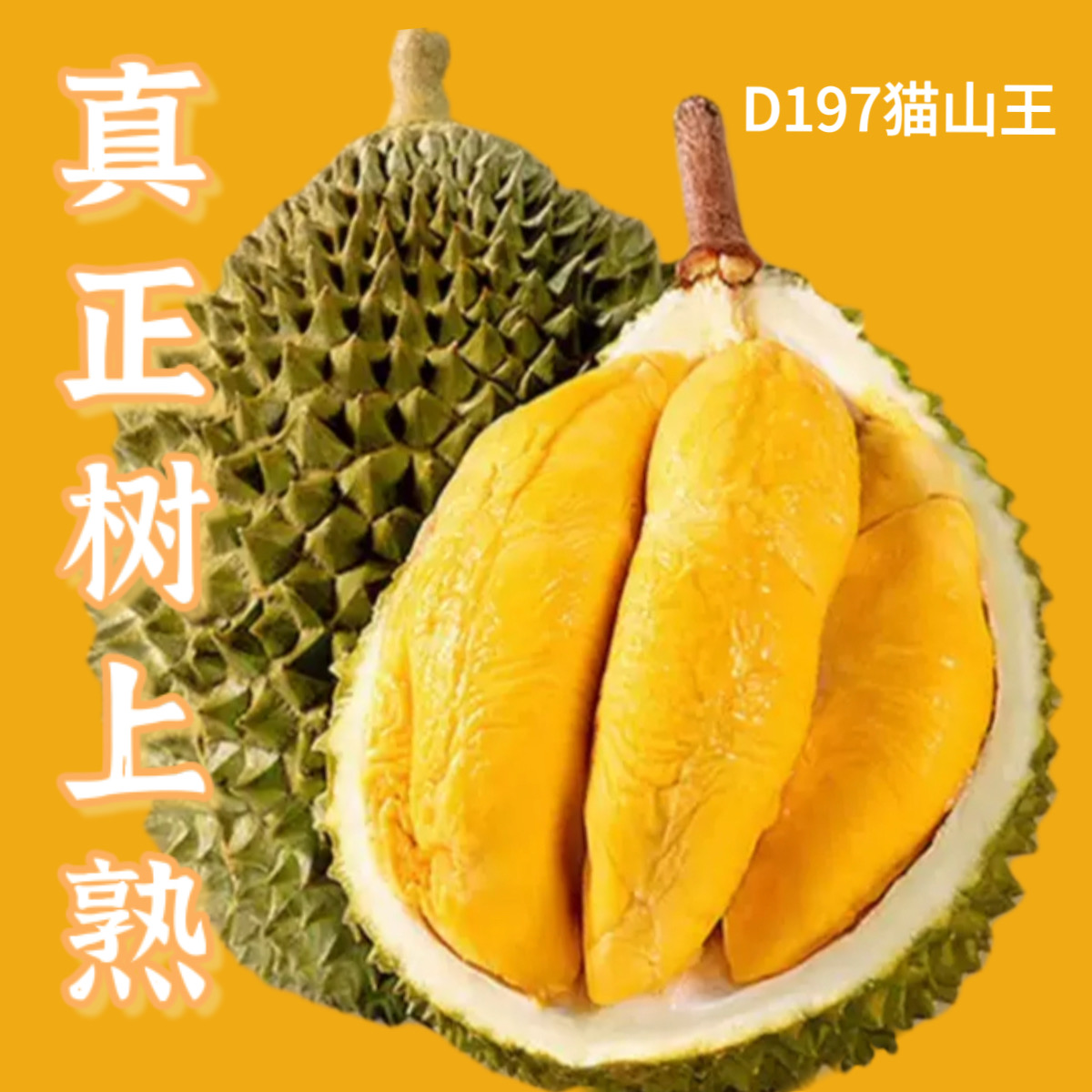 【新粉福利猫山王】D197马来西亚树熟当季新果色泽金黄香浓醇香