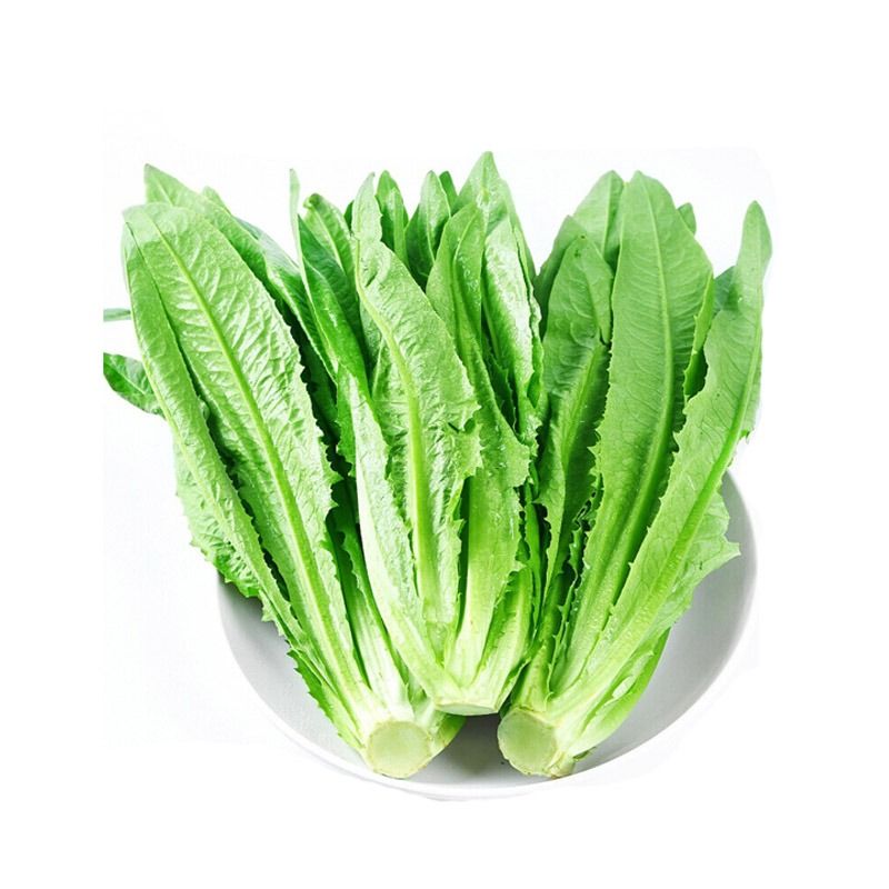 【促销】油麦菜/200g