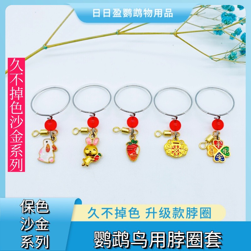 鹦鹉脖套玄凤牡丹虎皮小太栓鸟链不锈钢链子遛鸟放飞绳训练脖圈