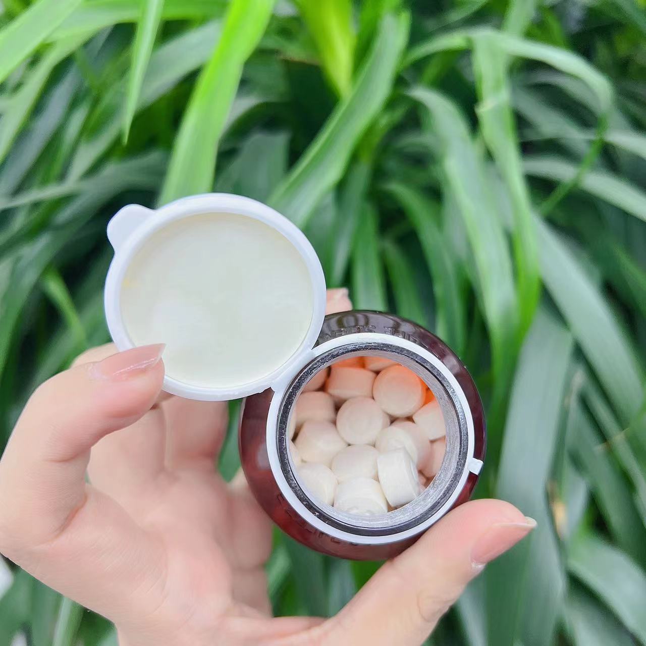 【我要高高高小工具！】就是那种浓缩赖赖的丸儿！