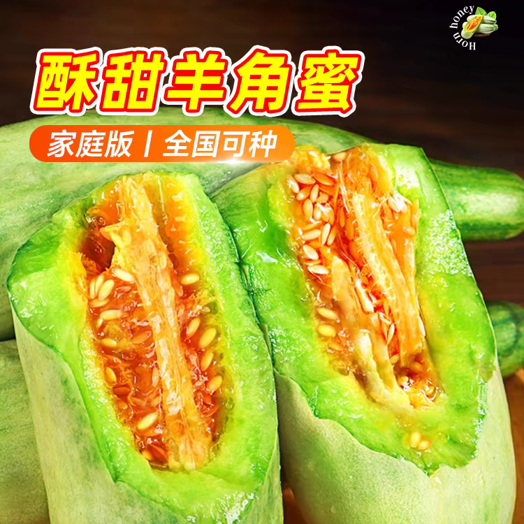 精选羊角蜜甜瓜种子庭院种植四季可播种夏季种苗蔬菜水果甜瓜种子