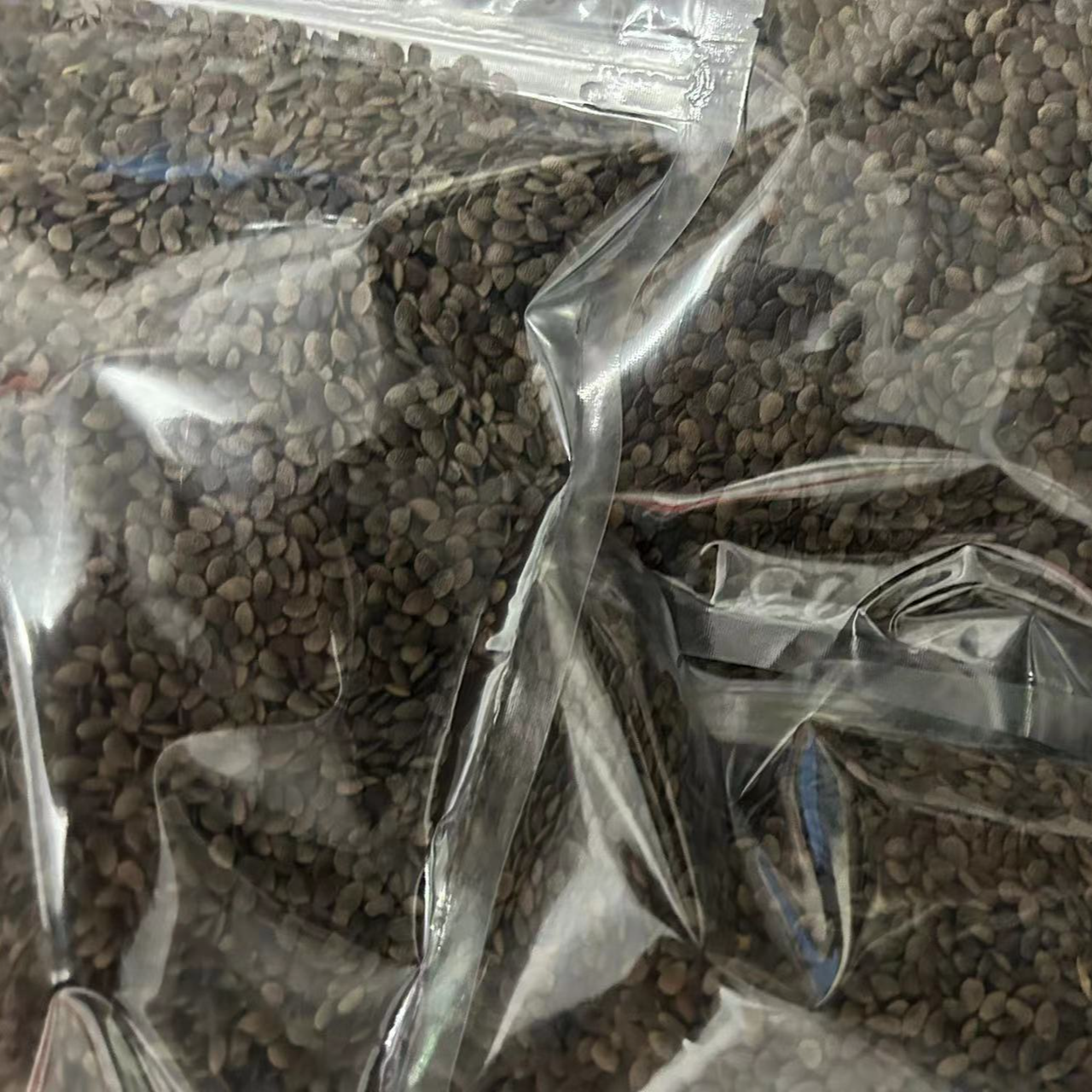 百香果（烘干干籽）