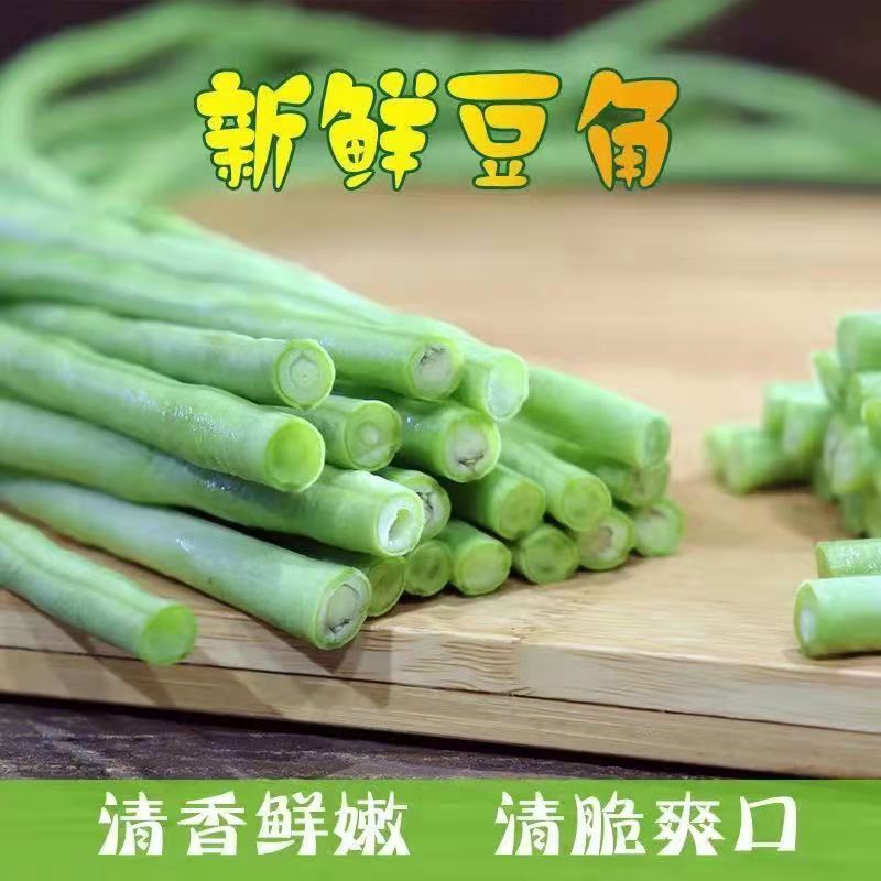 农家自种当季蔬菜新鲜现摘现发长豆角嫩脆豇豆五斤装