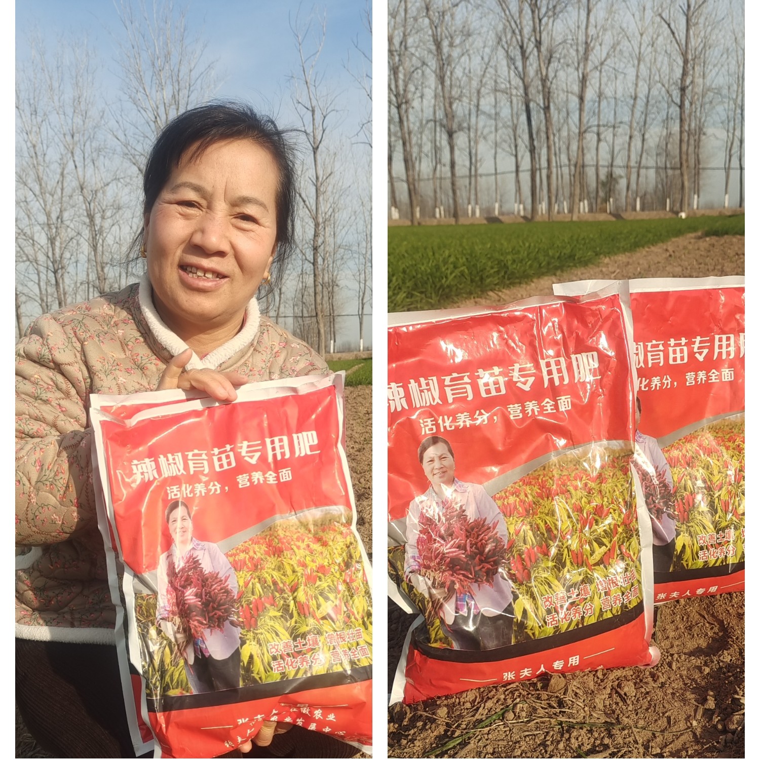 辣椒育苗专用肥1个苗床一包，营养提苗壮苗增根杀菌，防线虫抗虫害