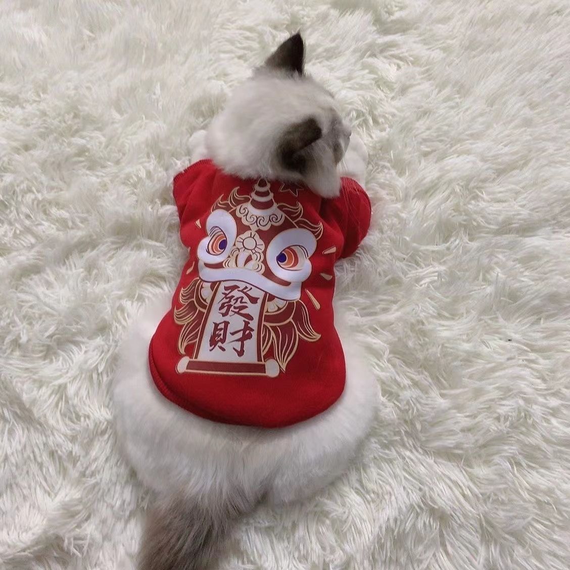 猫咪衣服秋冬新年装拜年加绒保暖蓝猫布偶英短小猫宠物狗狗防掉毛