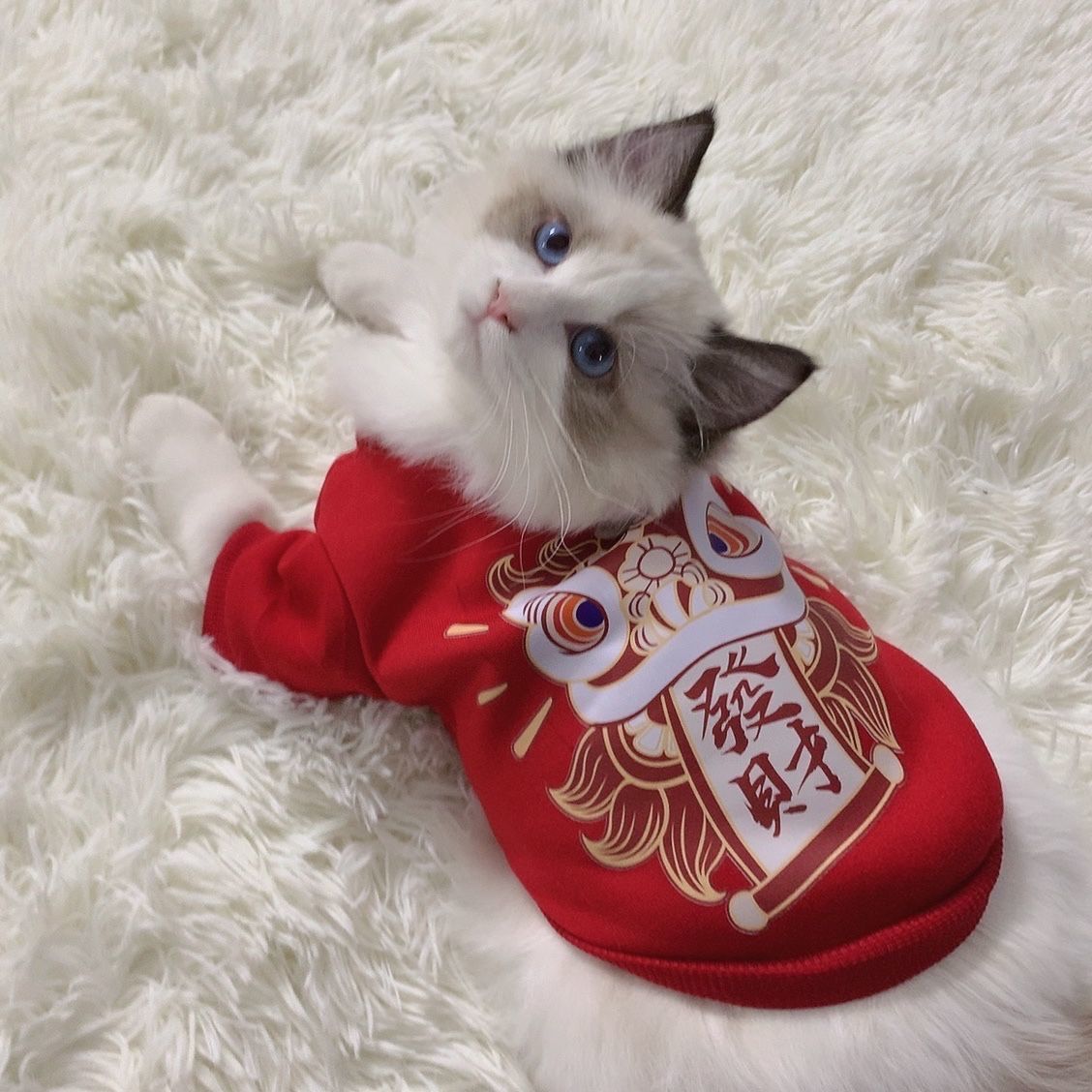 猫咪衣服秋冬新年过年衣服狗狗宠物衣服保暖蓝猫小猫喜庆可爱红色