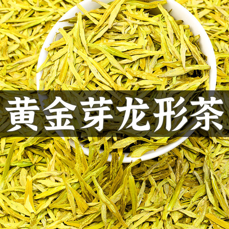 A2 2025新茶黄金芽龙型扁茶明前绿茶125g250g