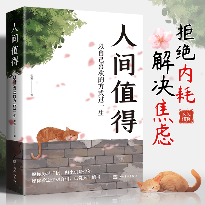 人间值得以自己喜欢的方式过一生自渡励志情商与情绪青春文学书籍