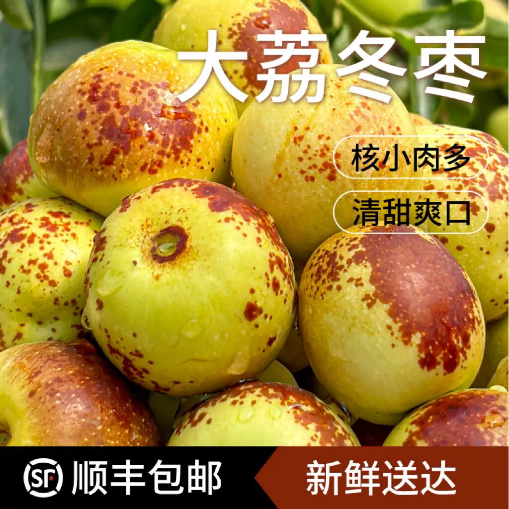 【顺丰】正宗精品陕西大荔正宗冬枣特级大果冬枣脆甜中秋哦冬枣脆甜