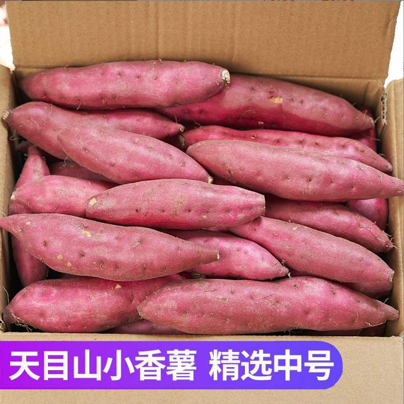 【粉丝福利】临安天目山小香薯红薯黄心沙地板栗地瓜番薯买3斤送2斤