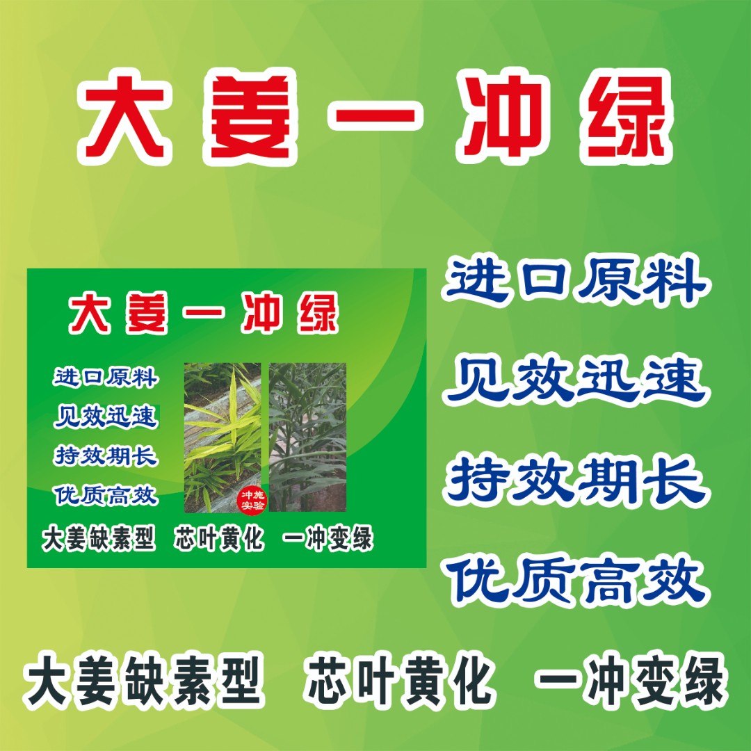 大姜 一冲绿 1亩地 芯叶黄化一冲变绿  持效期长 进口原料