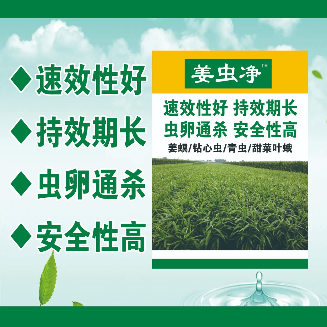 姜虫净 姜螟钻心虫青虫甜菜夜蛾等抗性害虫套餐 1套5桶水