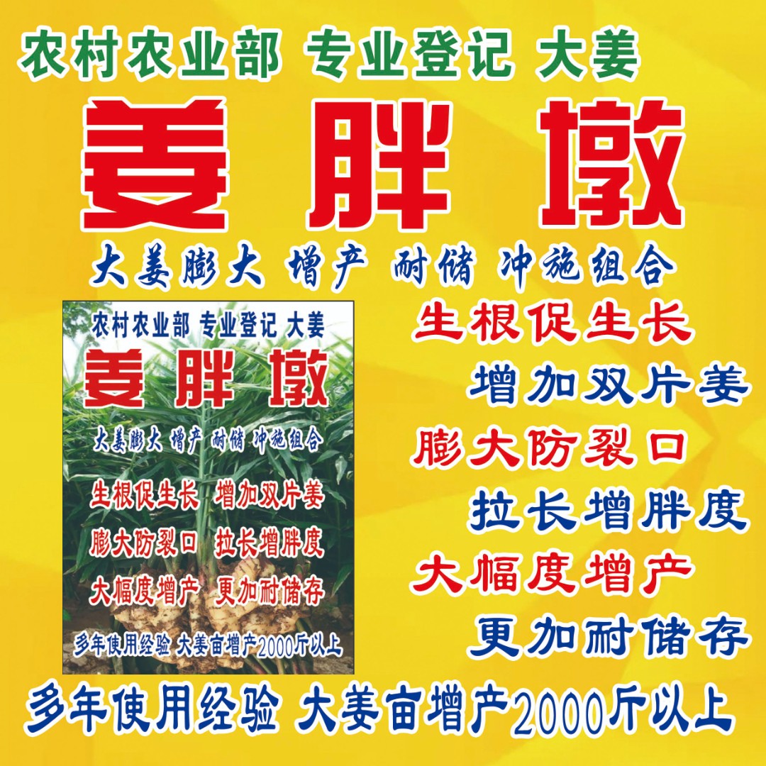 姜胖墩 专业登记大姜膨大 增产耐储冲施1亩地组合 增产2千斤