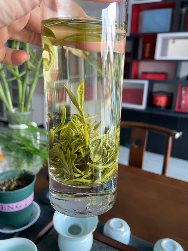 新茶高山黄山毛峰入口香甜125克-500g