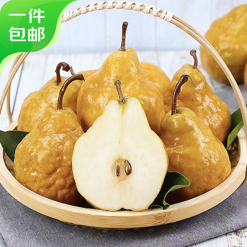 【自有基地】山东威海中华丑梨新鲜水果当季冰淇淋梨软糯多汁啤梨