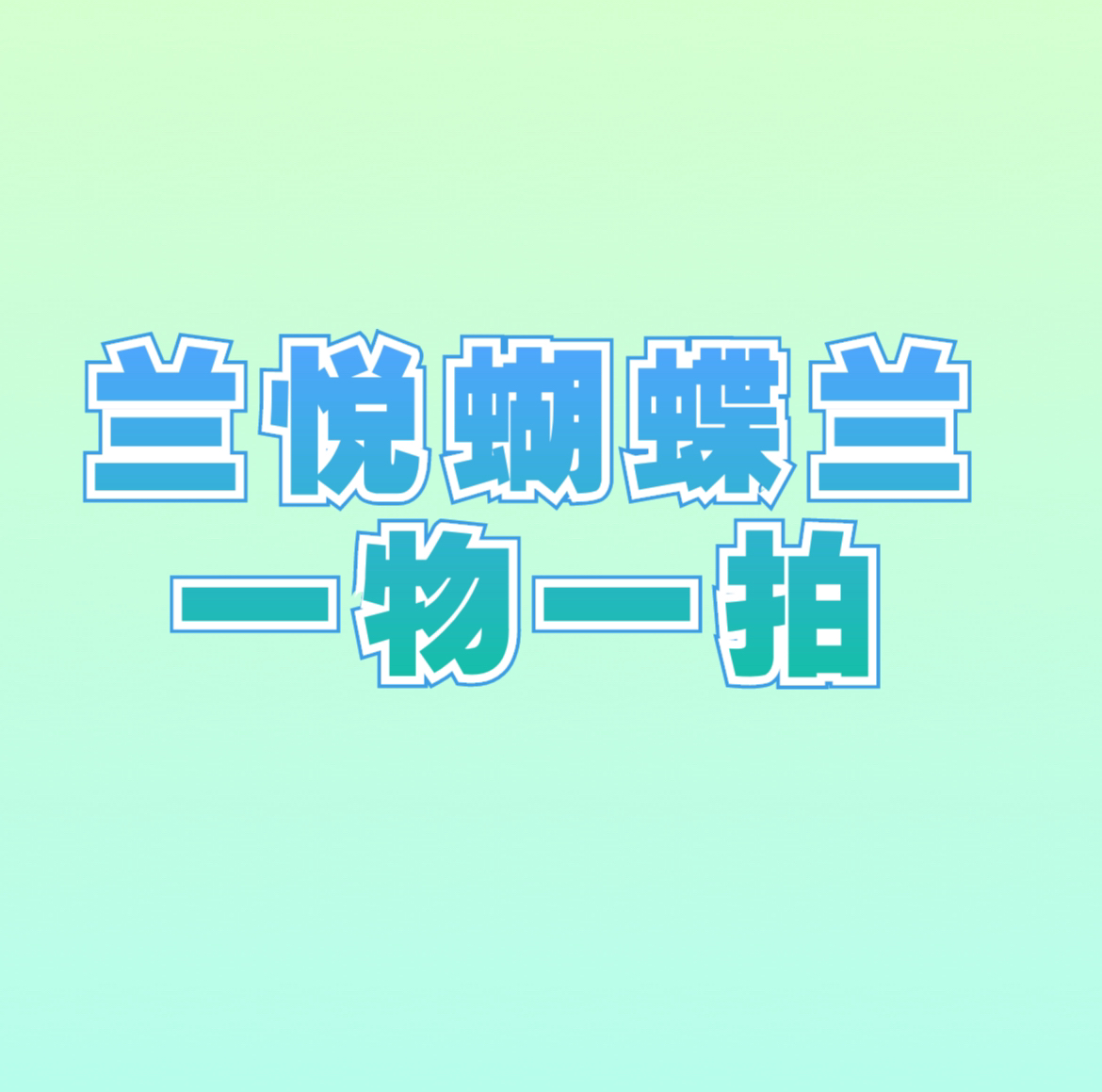 蝴蝶兰一物一拍蝴蝶兰预付