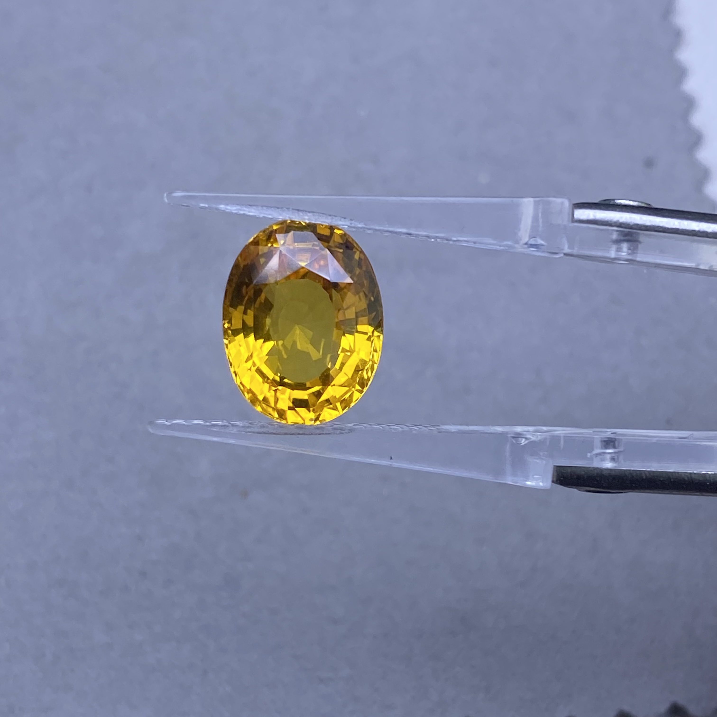  YS/蓝宝石-8.01ct（00851600）0516