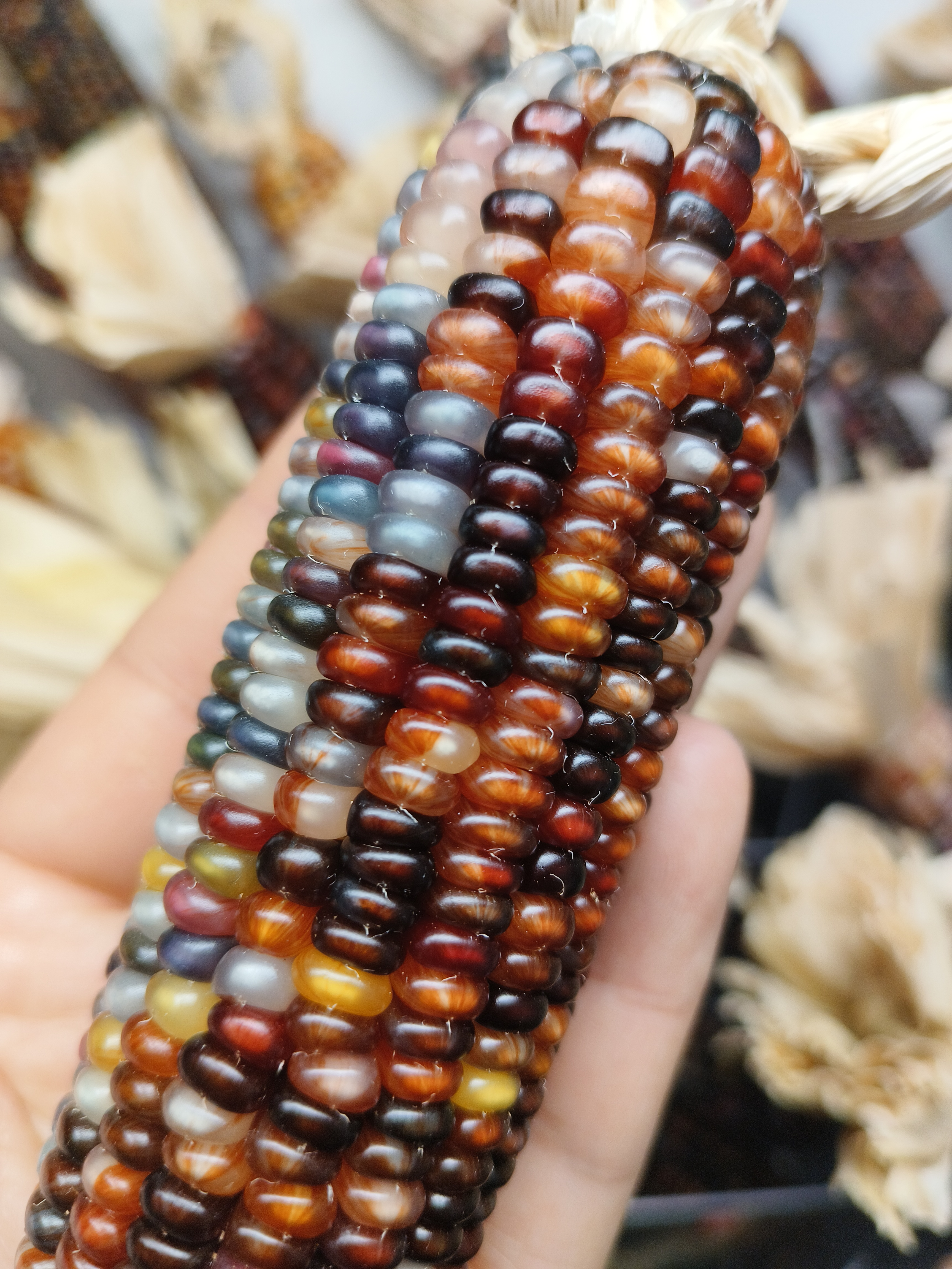 小樊文玩宝石玉米