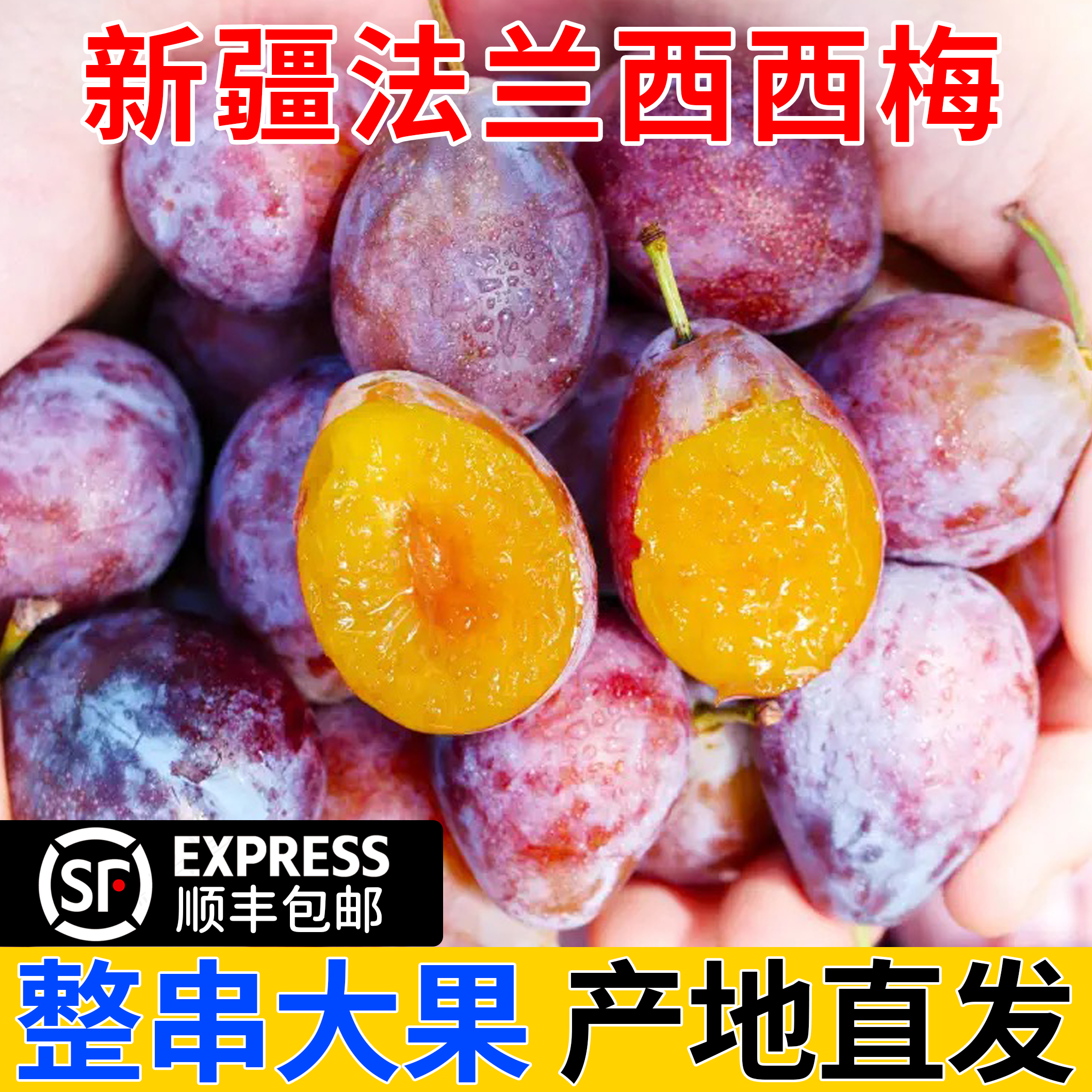 【顺丰包邮】正宗伽师法兰西梅爆甜多汁水果采摘孕妇饱满婴儿辅食