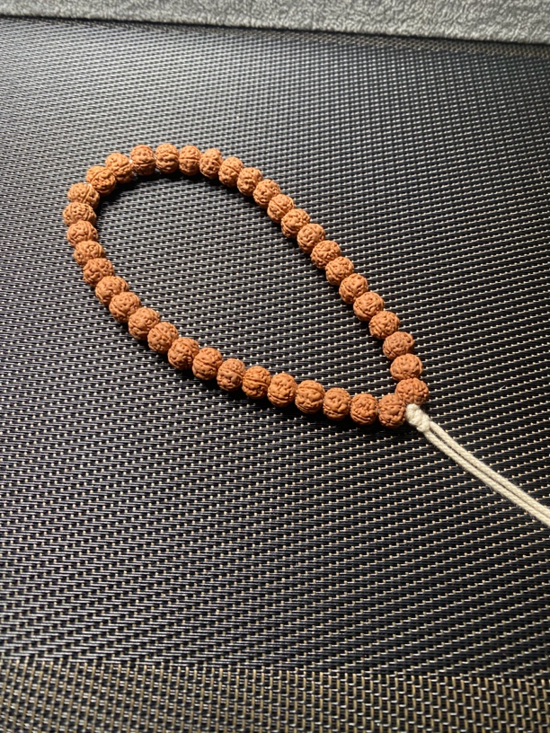 老树王小金刚 初级（有黄）