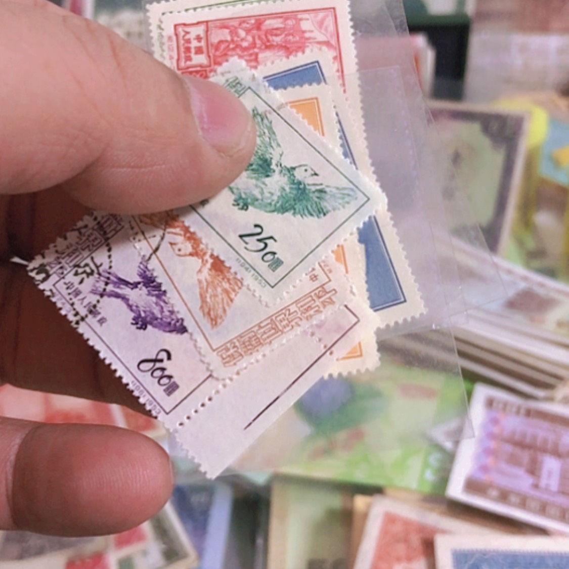 【闪购商品】纸币天**悟