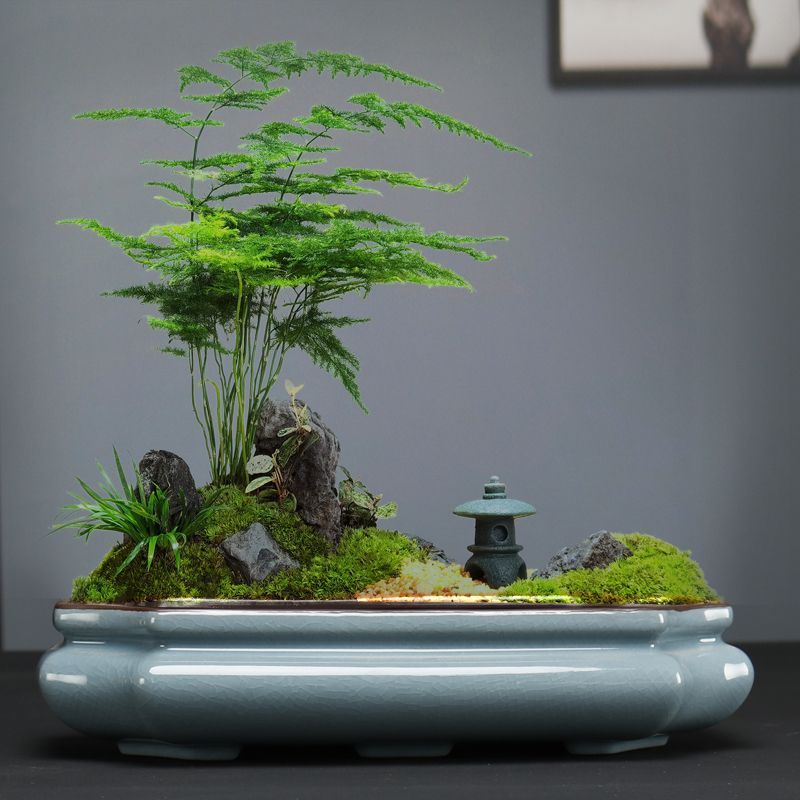 哥窑陶瓷花盆文竹盆景盆室内客厅绿植造景多肉容器方形椭圆盆花盆