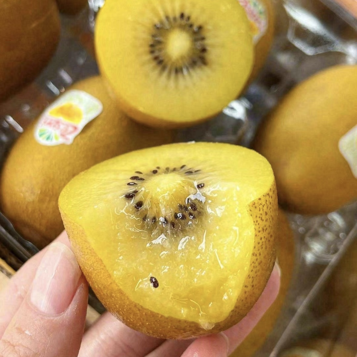 【水果】新西兰佳沛金果 猕猴桃5粒100g