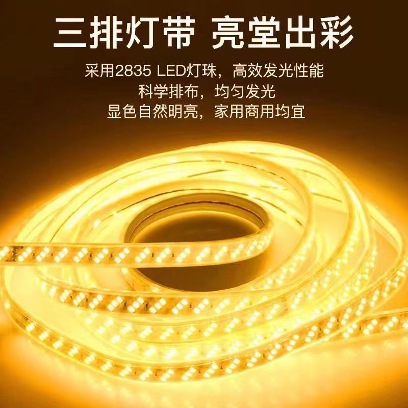 220V金黄光灯带led线型灯室外照明家用家装户外防水工程亮化装饰