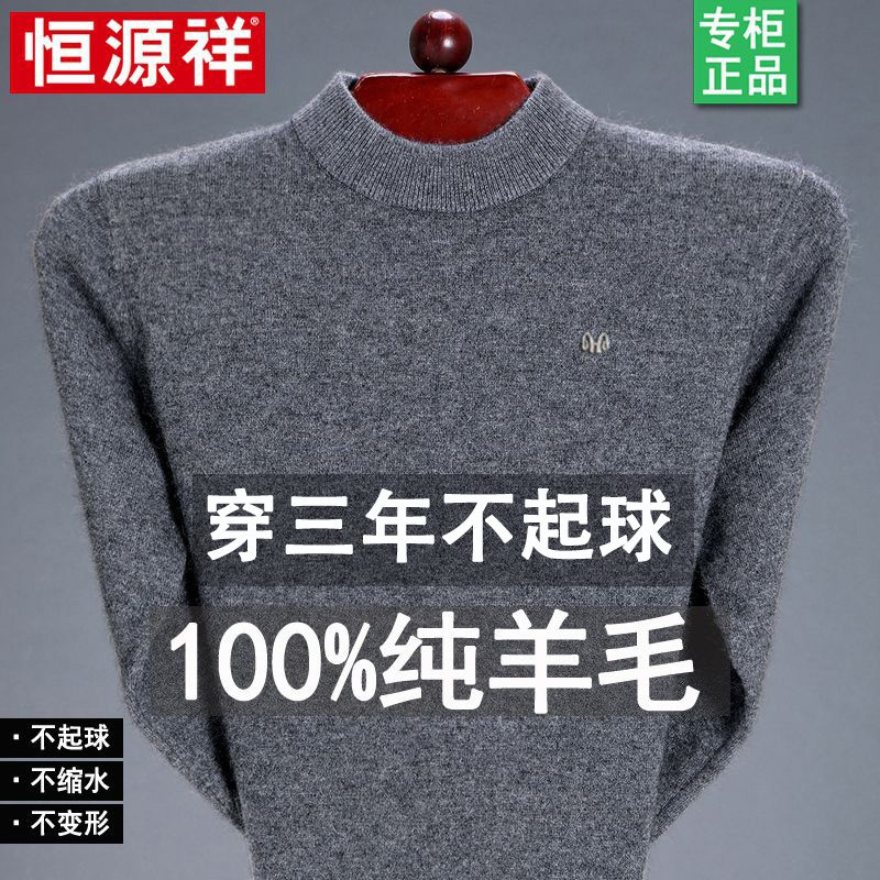 恒源祥集团羊毛衫男100%纯羊毛男装毛衣秋冬装半高领中青年针织羊
