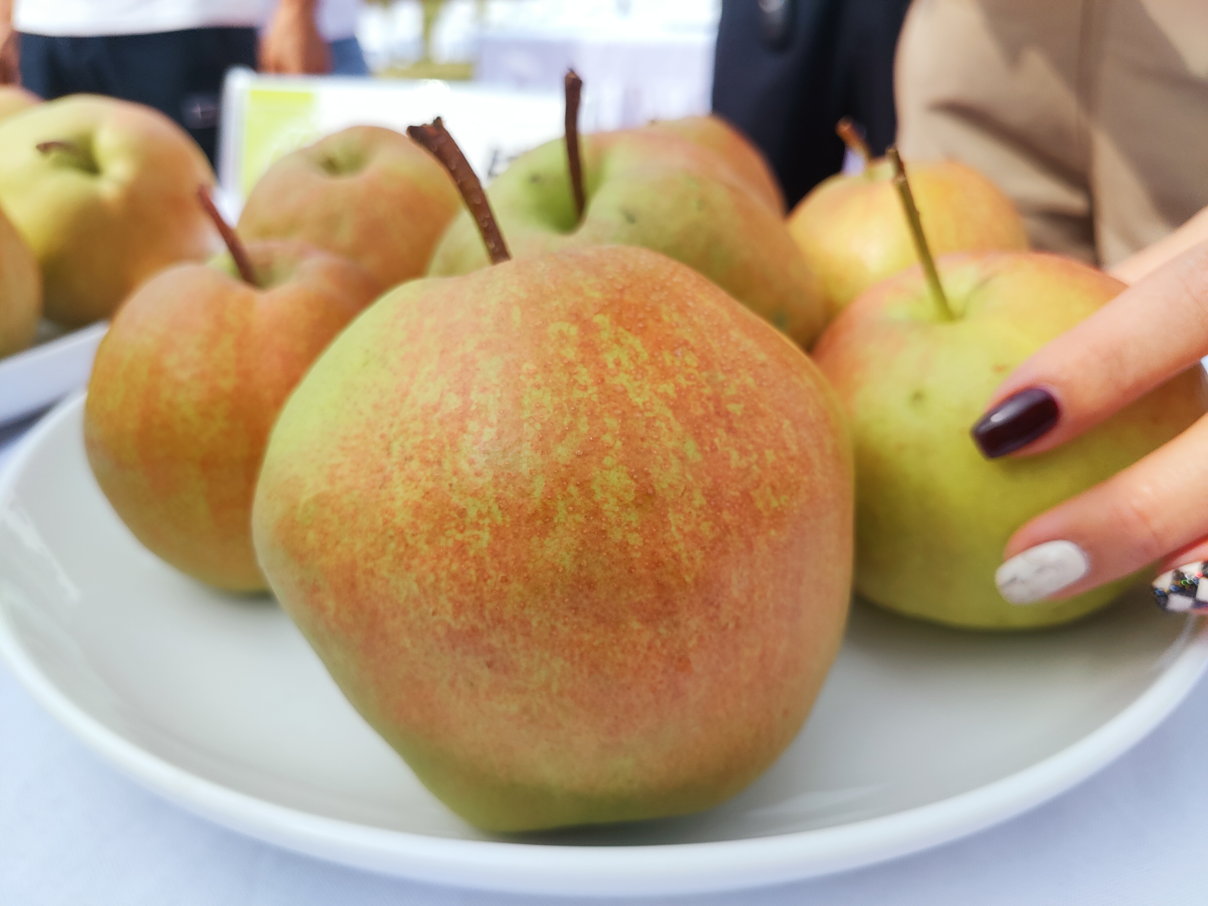 隰县玉露香梨精品国王9颗装！