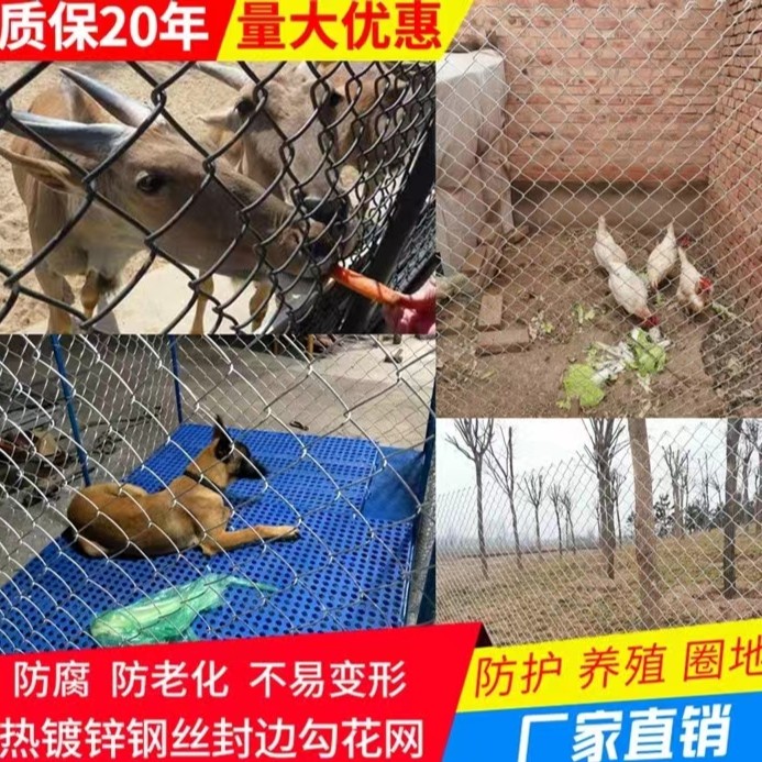 热镀锌铁丝网勾花网菱形网养殖鸡鸭羊牛防护围栏网