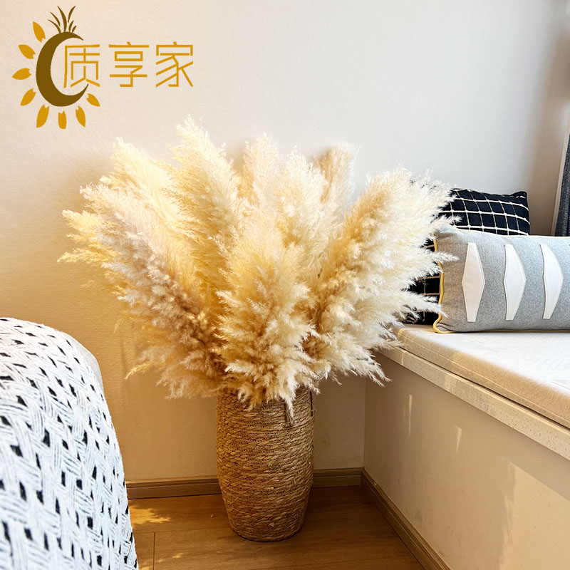 质享家【落地大蒲苇】天然风干真花芦苇加花篮客厅飘窗装饰干花摆件