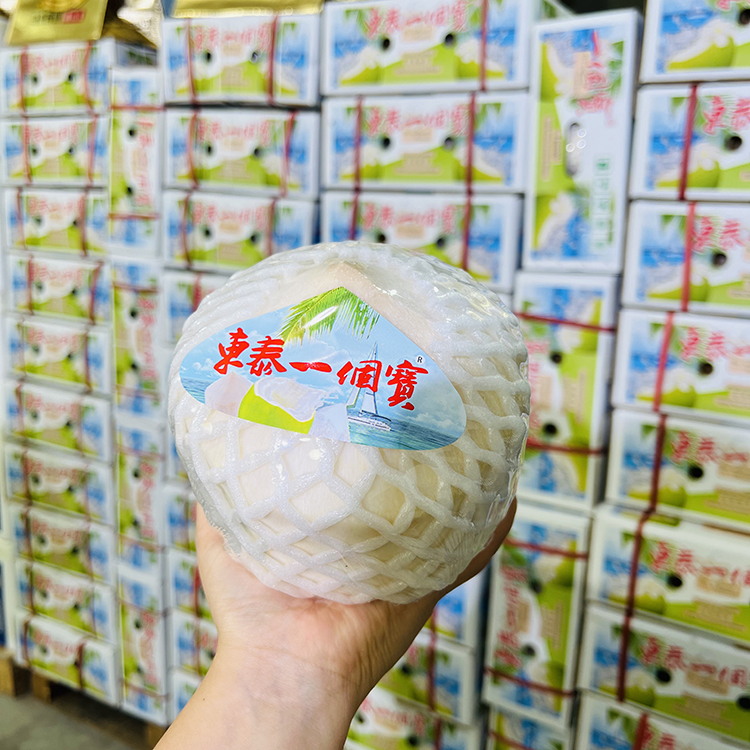 东泰一个宝泰国香水椰青鲜甜椰汁新鲜椰子整箱9个 包邮