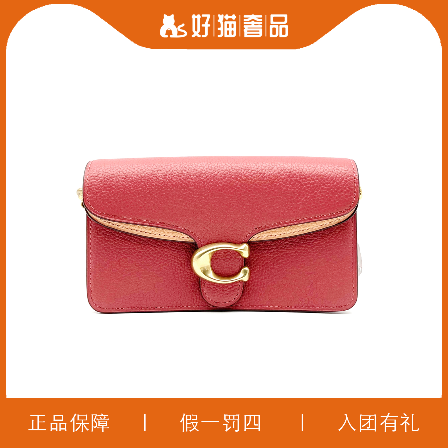 95新 COACH/蔻驰 蔻驰C扣/X1317/18X10X6