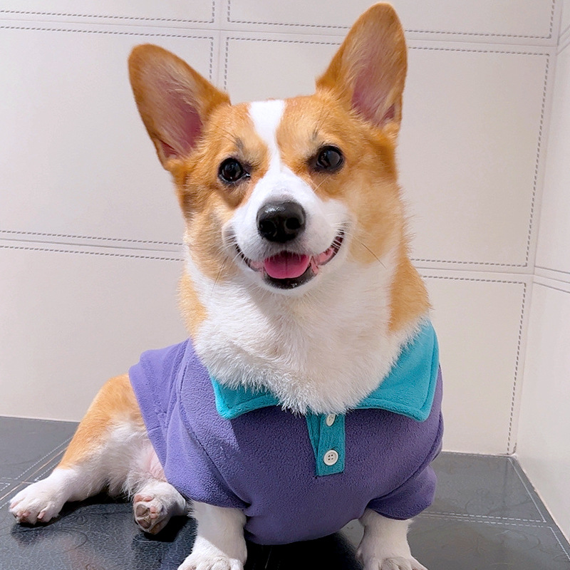 Tiger dog宠物秋冬POLO衫柯基边牧柴犬狗狗大狗双面加绒衣服服装