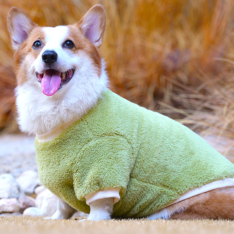 Tigerdog冬款新品柯基柴犬加厚双面绒保暖御寒圆领加绒衣服柔软