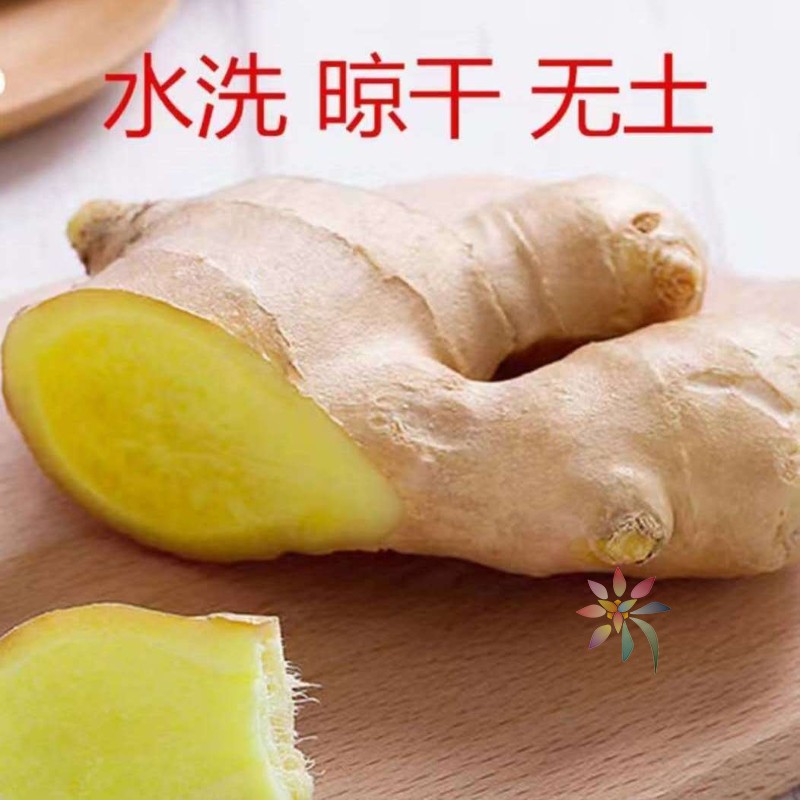 生姜老姜大姜干净无土晾干大黄姜月子姜生姜批发/0lb蔬菜组合