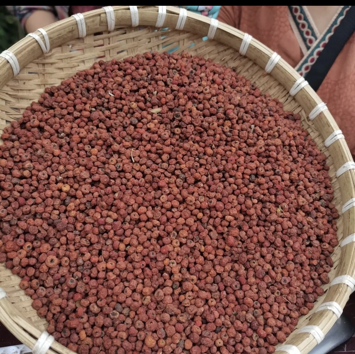 中缅边界大山山货【紫杉果】泡水 煮水