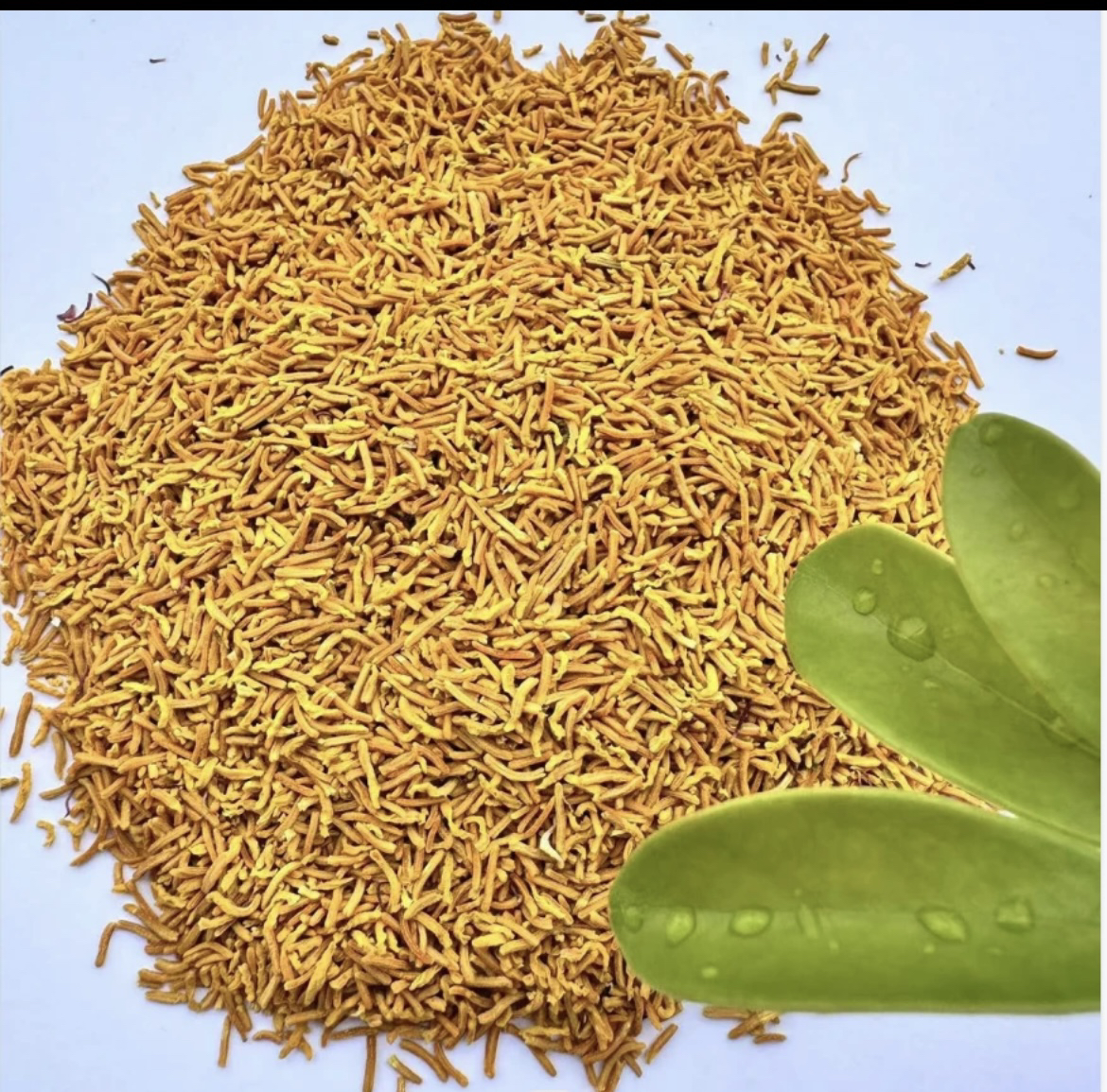 大山好货（黄金蕊）泡水