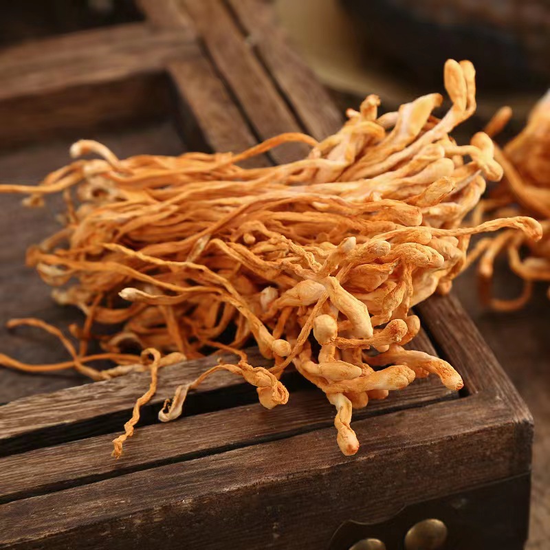 蛹虫草150克新货无熏硫煲汤