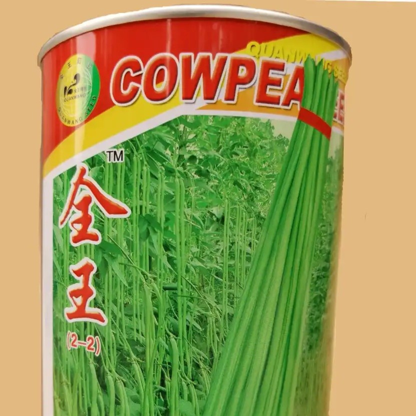 全王2-2豇豆种浅绿色全王系列早熟高产结果集中适应春夏秋