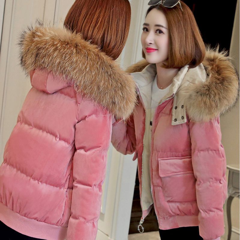 短款金丝绒加厚羽绒服2023新款高档金丝绒羽绒服女士矮个子羽绒服