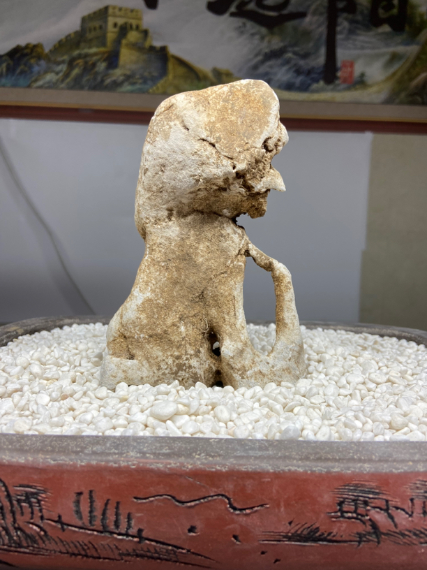 太湖石盆景附石手玩石鱼缸石家居摆件