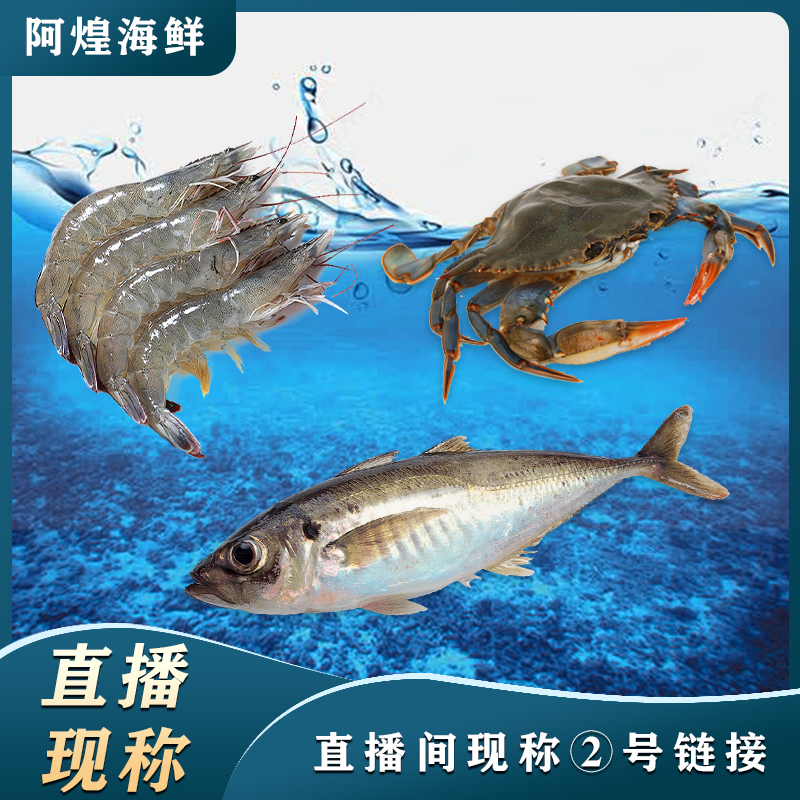 帝王蟹 现称③号链接  现称虾/鱼/蟹  福建厦门 顺丰发货