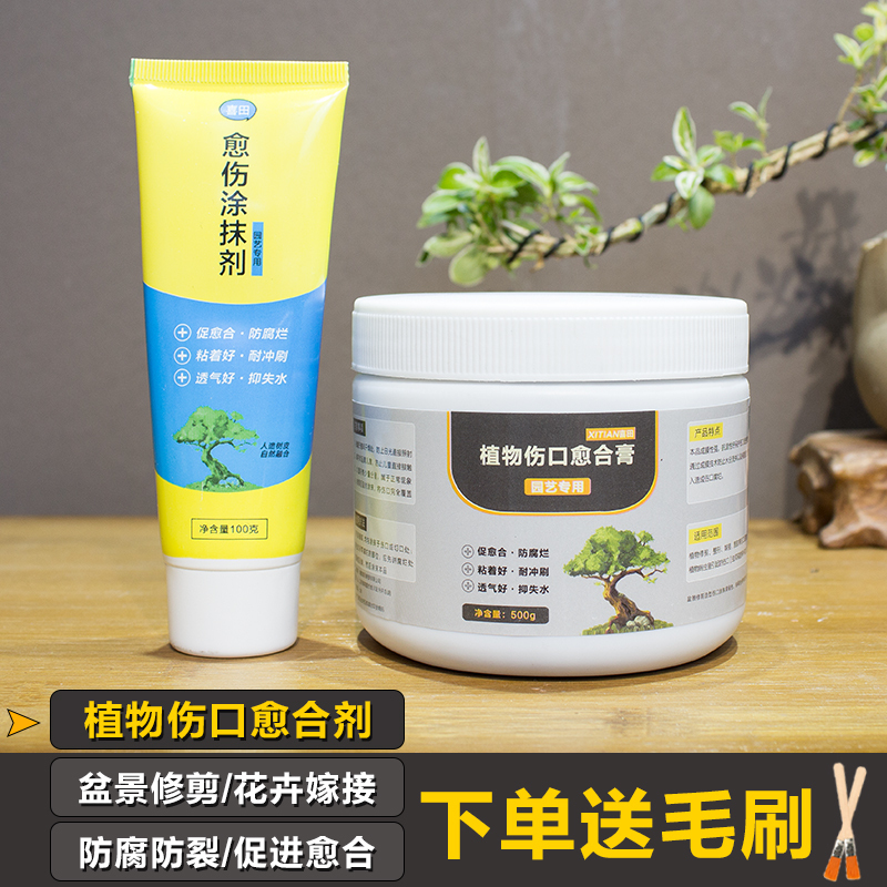 植物愈合剂盆景修剪扦插专用伤口愈伤膏树木桩口封口涂补剂防腐烂