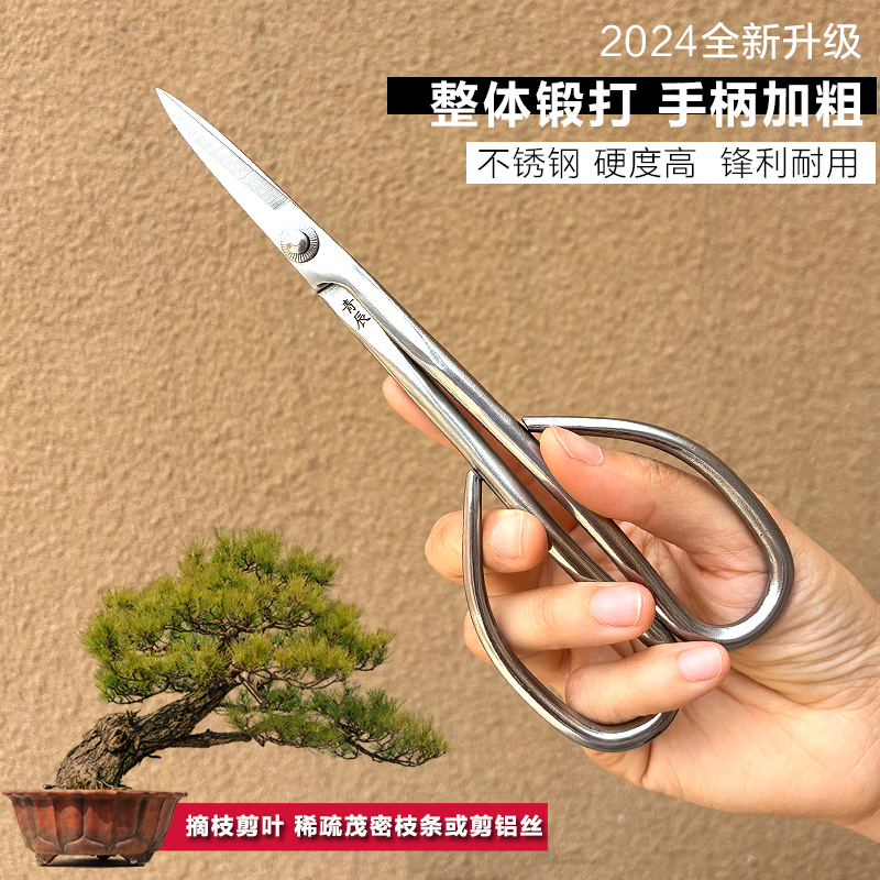 青辰叶芽剪盆景造型制作小枝剪不锈钢尖头剪刀插花园艺多功能剪子