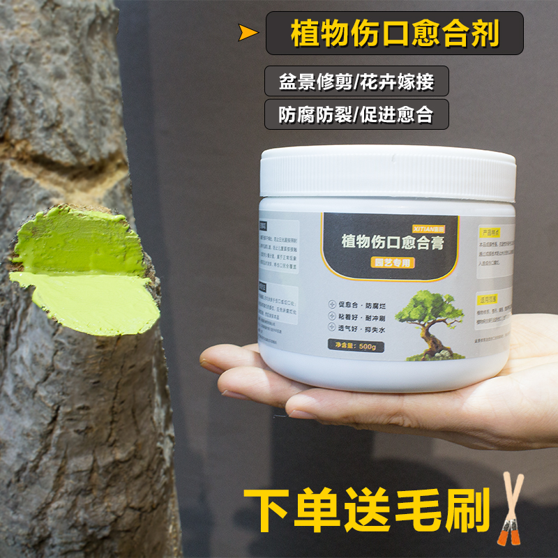 植物伤口愈合剂盆景园艺使用月季果树植物花卉修剪嫁接涂抹愈伤膏