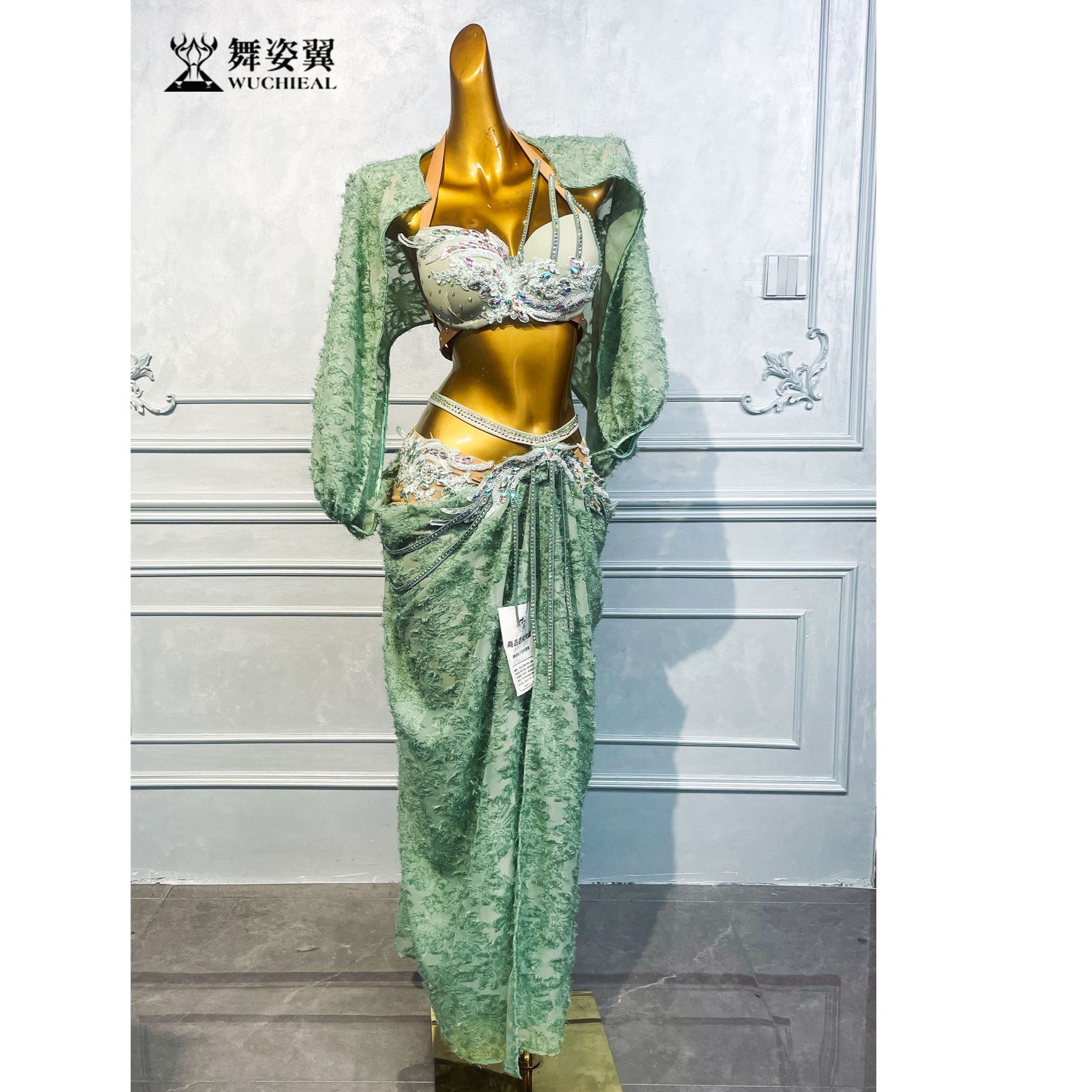 舞姿翼新款浅绿肚皮舞表演服套装WZY105