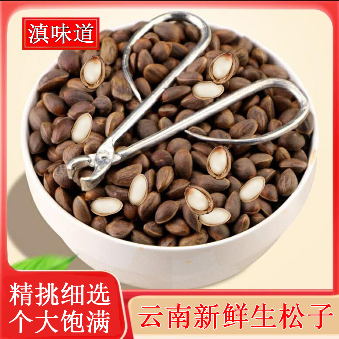 【新货】云南新鲜薄壳松子1/2/4等 原味贵州松子颗粒饱满薄壳生松子