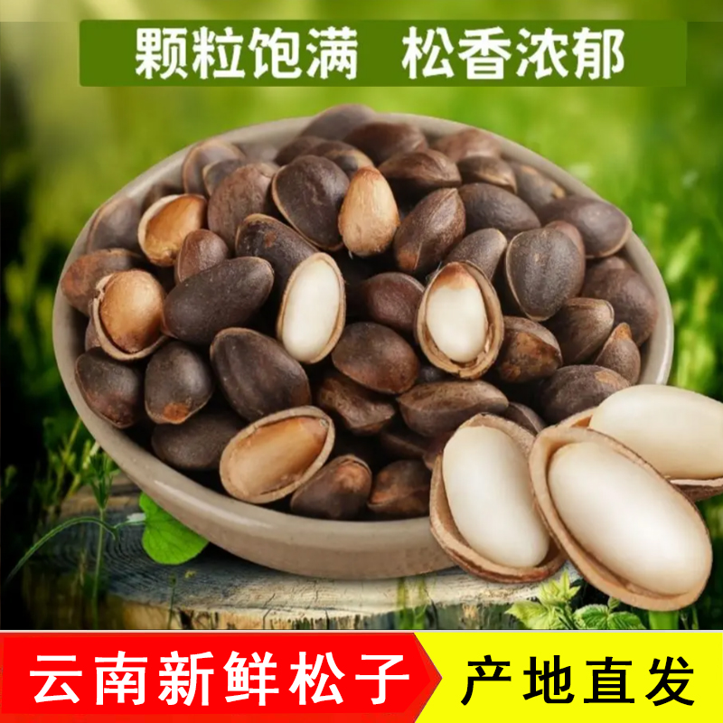 【不送夹子】云南新鲜薄壳松子1/2/4/8斤 原味落水松颗粒饱满生松子